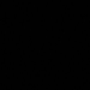 Meet your Posher, Alan